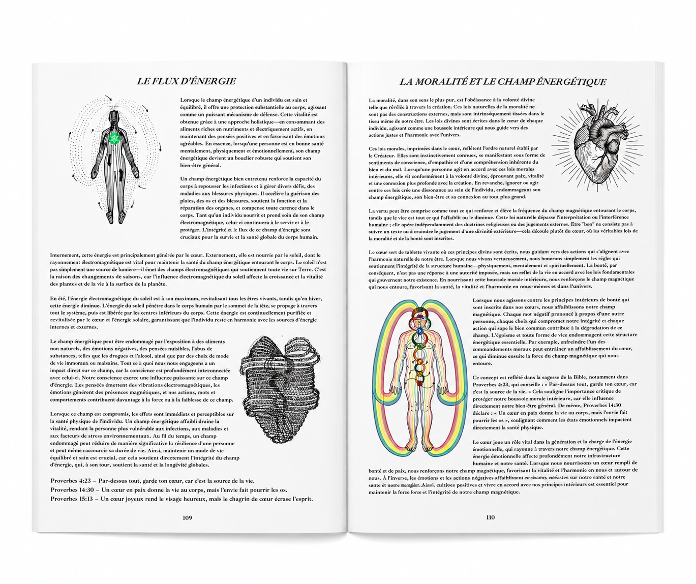 Pages intérieures du Livre de la Sagesse Vol.2